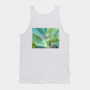 Rhododendron Leaves Tank Top